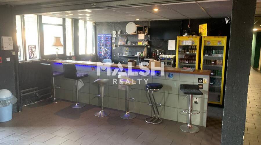 MALSH Realty & Property - Bureau - Carré de Soie / Grandclément / Bel Air - Villeurbanne - 3