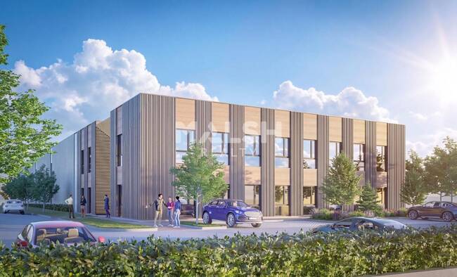 MALSH Realty & Property - Local d'activités - Val de Saône - Rillieux-la-Pape - 1