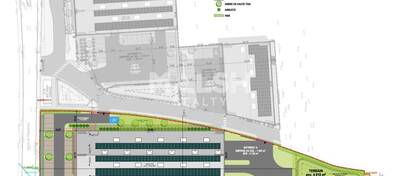 MALSH Realty & Property - Local d'activités - Val de Saône - Rillieux-la-Pape - 3