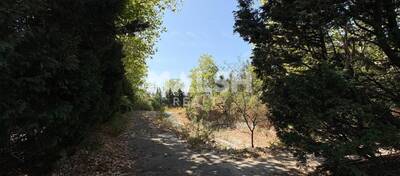 MALSH Realty & Property - Local d'activités - Lyon EST (St Priest /Mi Plaine/ A43 / Eurexpo) - Saint-Priest - 11