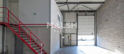 MALSH Realty & Property - Local d'activités - Val de Saône - Rillieux-la-Pape - 4