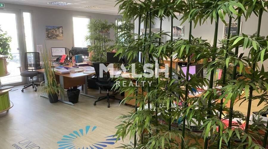 MALSH Realty & Property - Bureau - Val de Saône - Rillieux-la-Pape - 6