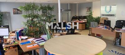 MALSH Realty & Property - Bureau - Val de Saône - Rillieux-la-Pape - 7