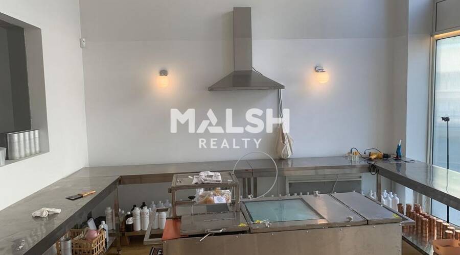 MALSH Realty & Property - Bureau - Carré de Soie / Grandclément / Bel Air - Villeurbanne - 3