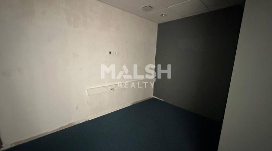 MALSH Realty & Property - Local commercial - Lyon Sud Ouest - Oullins - 3