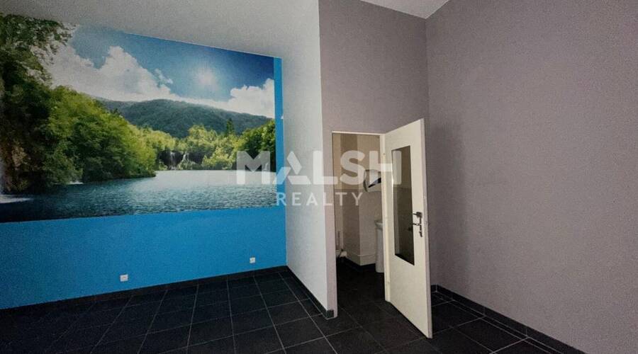 MALSH Realty & Property - Local commercial - Carré de Soie / Grandclément / Bel Air - Villeurbanne - 3
