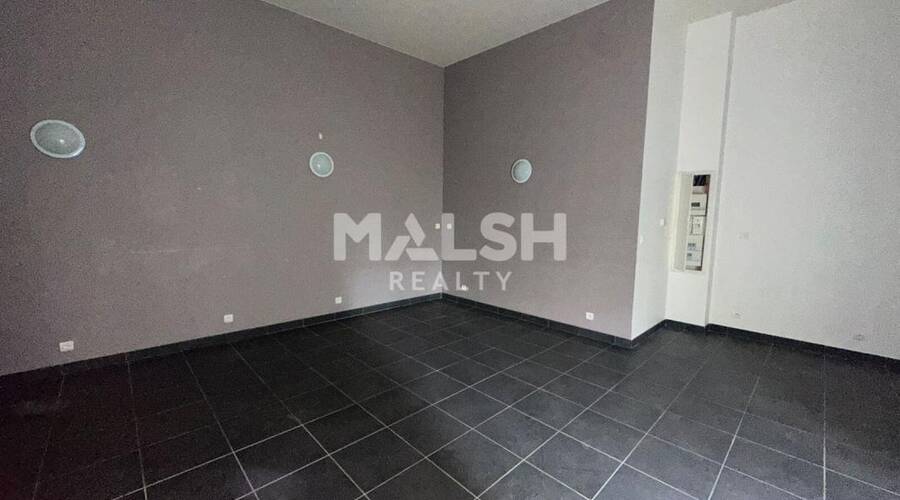 MALSH Realty & Property - Local commercial - Carré de Soie / Grandclément / Bel Air - Villeurbanne - 4