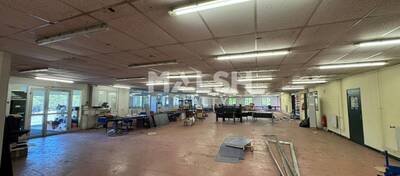 MALSH Realty & Property - Local d'activités - Saint-Etienne Métropole - Saint-Galmier - 1