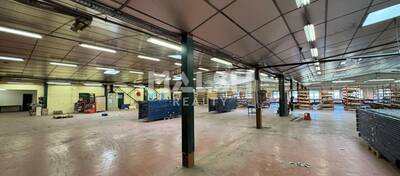 MALSH Realty & Property - Local d'activités - Saint-Etienne Métropole - Saint-Galmier - 4