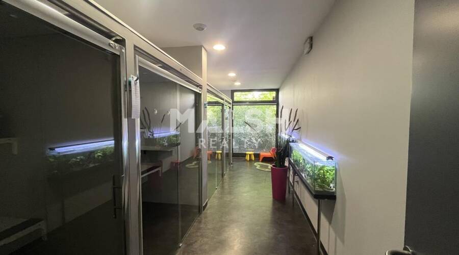 MALSH Realty & Property - Local commercial - Lyon 7° / Gerland - Lyon 7 - 3