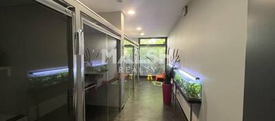 MALSH Realty & Property - Local commercial - Lyon 7° / Gerland - Lyon 7 - 3