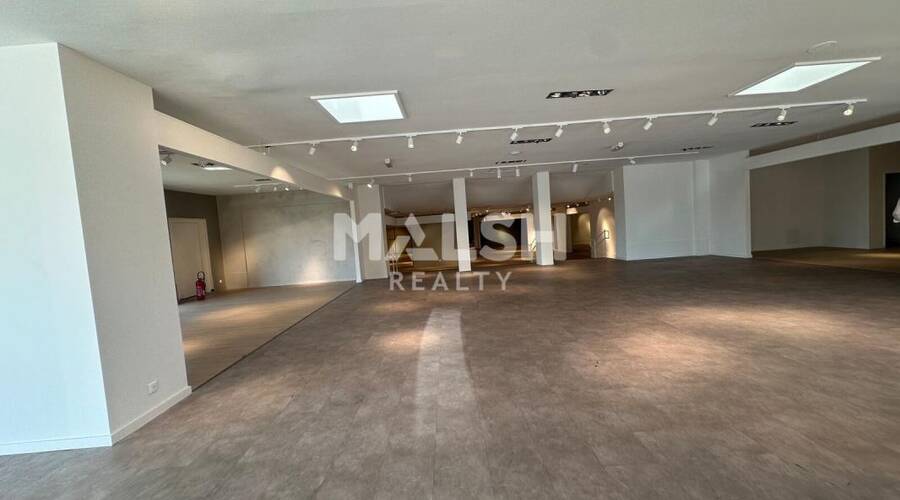 MALSH Realty & Property - Local commercial - Lyon EST (St Priest /Mi Plaine/ A43 / Eurexpo) - Saint-Priest - 3