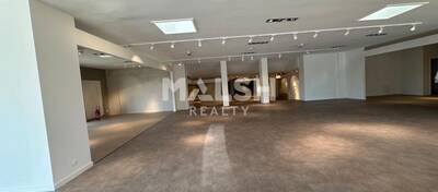 MALSH Realty & Property - Local commercial - Lyon EST (St Priest /Mi Plaine/ A43 / Eurexpo) - Saint-Priest - 3