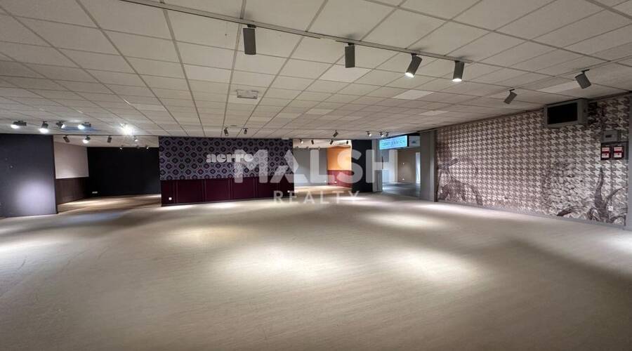 MALSH Realty & Property - Local commercial - Lyon EST (St Priest /Mi Plaine/ A43 / Eurexpo) - Saint-Priest - 8