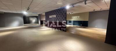 MALSH Realty & Property - Local commercial - Lyon EST (St Priest /Mi Plaine/ A43 / Eurexpo) - Saint-Priest - 9