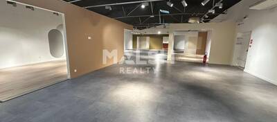 MALSH Realty & Property - Local commercial - Lyon EST (St Priest /Mi Plaine/ A43 / Eurexpo) - Saint-Priest - 10