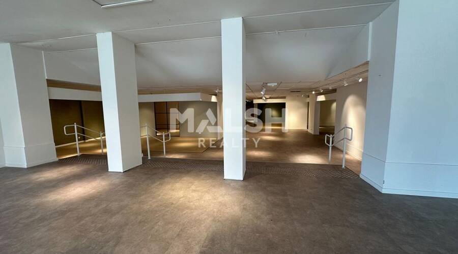 MALSH Realty & Property - Local commercial - Lyon EST (St Priest /Mi Plaine/ A43 / Eurexpo) - Saint-Priest - 11
