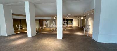 MALSH Realty & Property - Local commercial - Lyon EST (St Priest /Mi Plaine/ A43 / Eurexpo) - Saint-Priest - 11