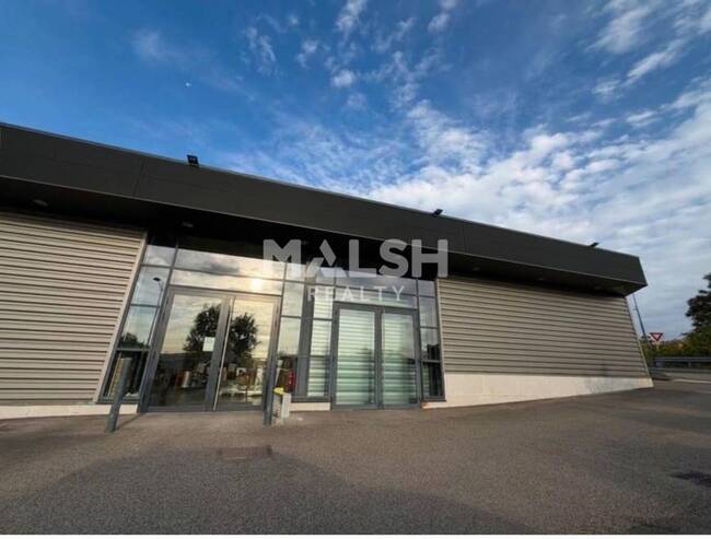MALSH Realty & Property - Local d'activités - Extérieurs NORD (Villefranche / Belleville) - Anse - 1