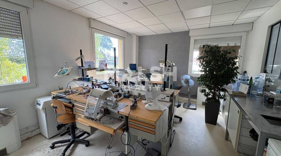 MALSH Realty & Property - Local d'activités - Carré de Soie / Grandclément / Bel Air - Villeurbanne - 16