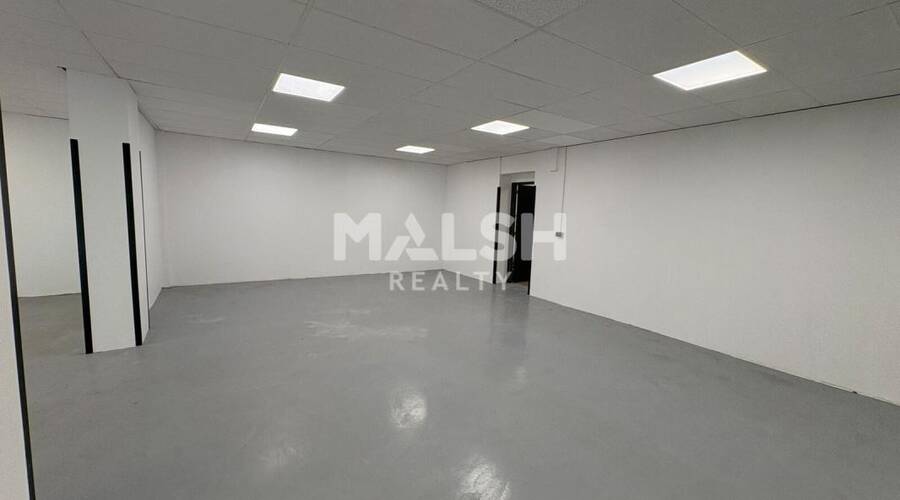 MALSH Realty & Property - Local d'activités - Extérieurs NORD (Villefranche / Belleville) - Alix - 3