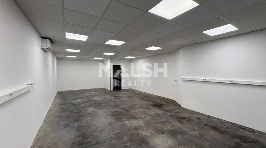 MALSH Realty & Property - Local d'activités - Extérieurs NORD (Villefranche / Belleville) - Alix - 8