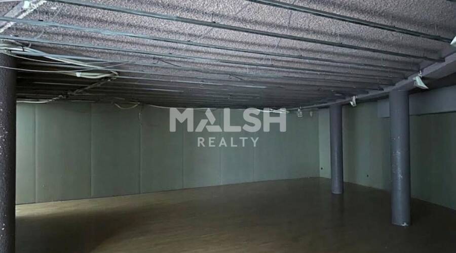 MALSH Realty & Property - Local commercial - Val de Saône - Caluire-et-Cuire - 10