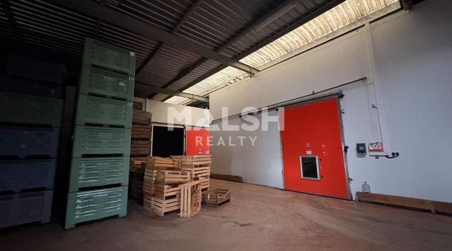MALSH Realty & Property - Local d'activités - Lyon Sud Ouest - Brignais - 3
