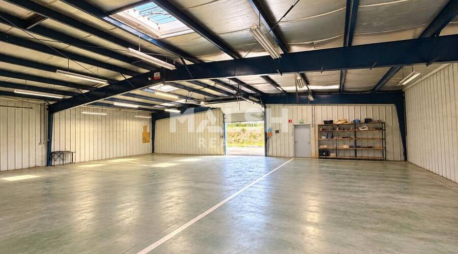 MALSH Realty & Property - Local d'activités - Vienne - Pont-Évêque - 2