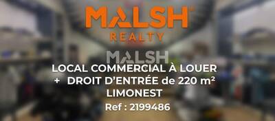 MALSH Realty & Property - Local commercial - Lyon Nord Ouest (Techlid / Monts d'Or) - Limonest - 1