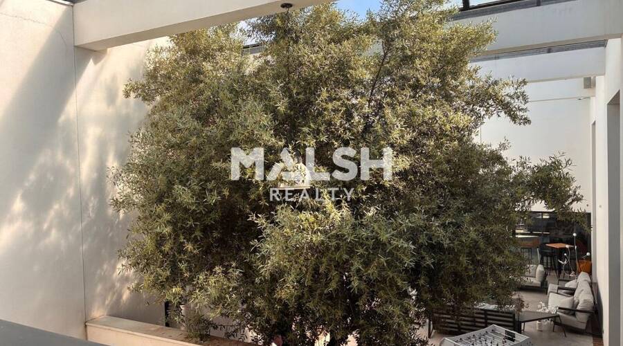 MALSH Realty & Property - Bureau - Lyon Nord Est (Rhône Amont) - Décines-Charpieu - 8