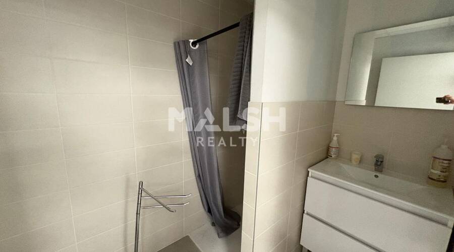 MALSH Realty & Property - Local d'activités - Extérieurs OUEST (Tarare / Arbresle) - Messimy - 10