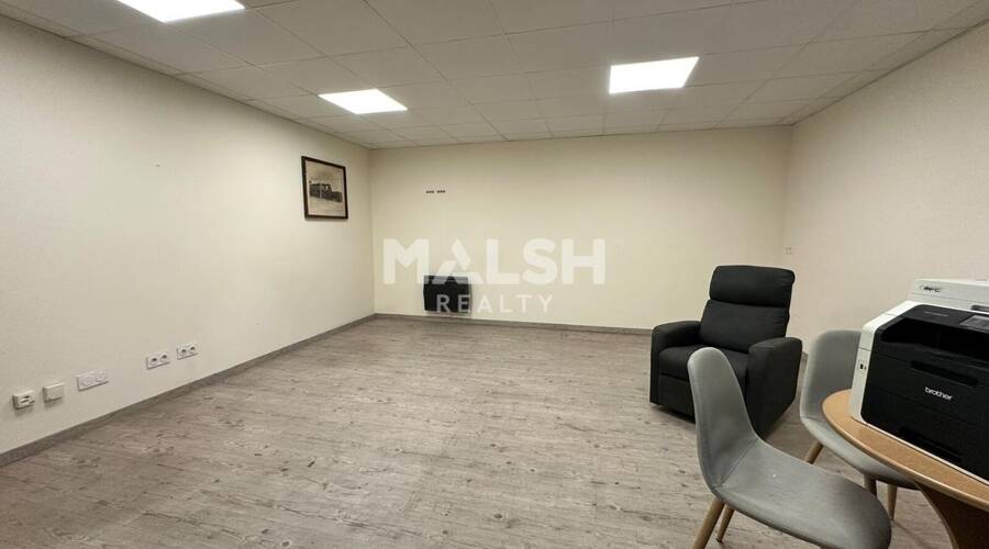 MALSH Realty & Property - Local d'activités - Extérieurs NORD (Villefranche / Belleville) - Belleville - 9