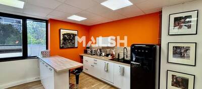 MALSH Realty & Property - Bureau - Lyon Nord Ouest (Techlid / Monts d'Or) - Saint-Didier-au-Mont-d'Or - 7