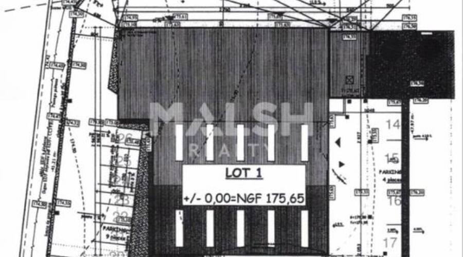 MALSH Realty & Property - Local d'activités - Extérieurs NORD (Villefranche / Belleville) - Arnas - 3