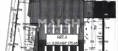 MALSH Realty & Property - Local d'activités - Extérieurs NORD (Villefranche / Belleville) - Arnas - 3