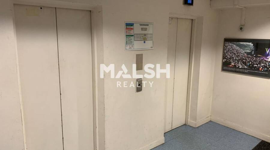 MALSH Realty & Property - Bureau - Carré de Soie / Grandclément / Bel Air - Villeurbanne - 2