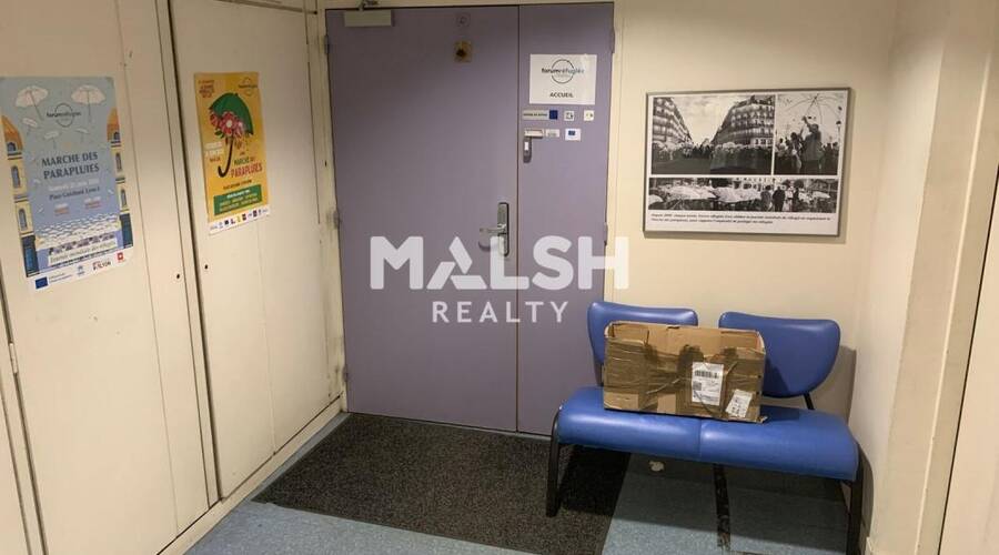 MALSH Realty & Property - Bureau - Carré de Soie / Grandclément / Bel Air - Villeurbanne - 3