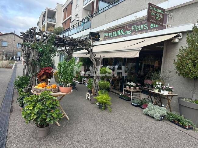 MALSH Realty & Property - Local commercial - Lyon Sud Ouest - Francheville - 1