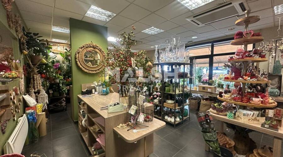 MALSH Realty & Property - Local commercial - Lyon Sud Ouest - Francheville - 2