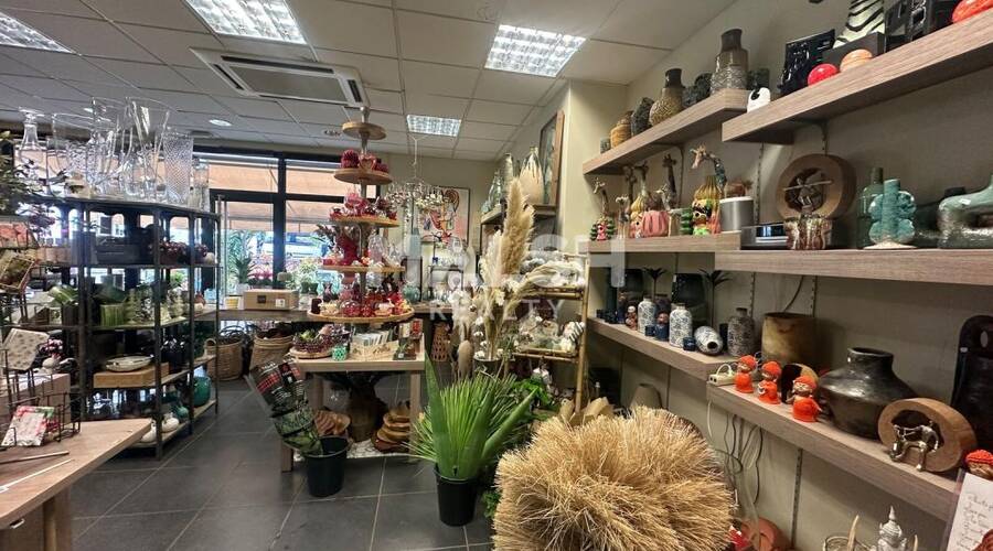 MALSH Realty & Property - Local commercial - Lyon Sud Ouest - Francheville - 3