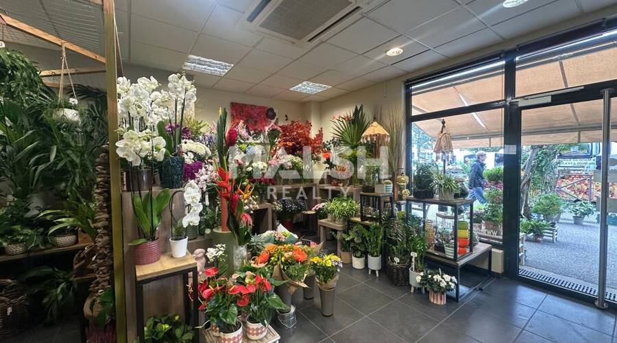MALSH Realty & Property - Local commercial - Lyon Sud Ouest - Francheville - 4