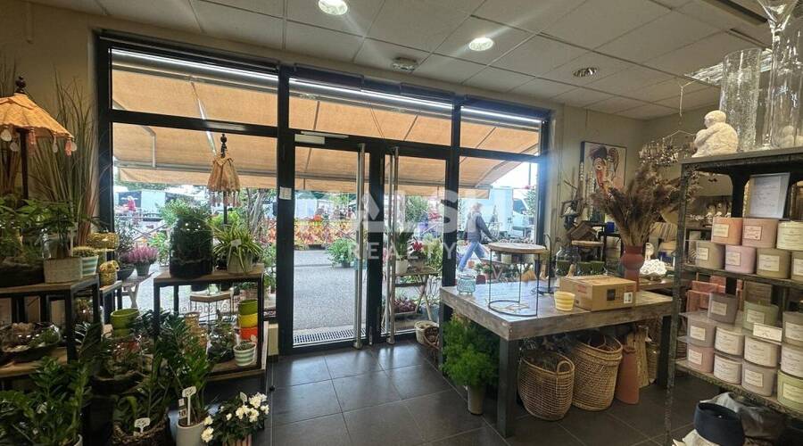 MALSH Realty & Property - Local commercial - Lyon Sud Ouest - Francheville - 5