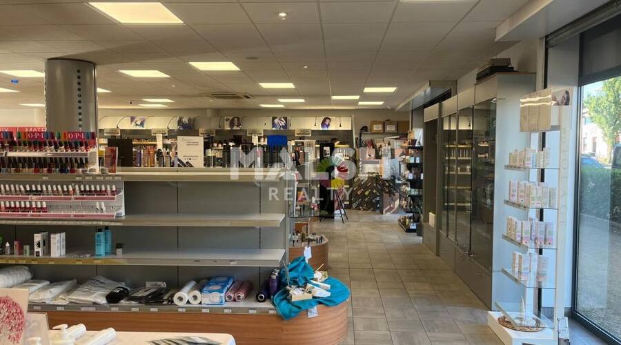 MALSH Realty & Property - Local commercial - Extérieurs NORD (Villefranche / Belleville) - Limas - 4