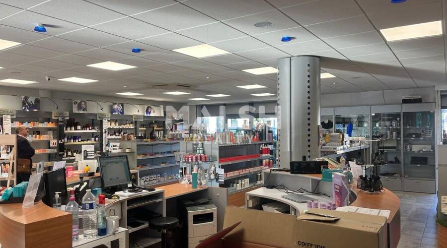 MALSH Realty & Property - Local commercial - Extérieurs NORD (Villefranche / Belleville) - Limas - 5