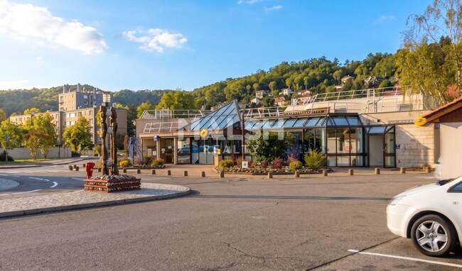 MALSH Realty & Property - Local commercial - Côtière (Ain/A42/Beynost/Dagneux/Montluel) - Miribel - 1