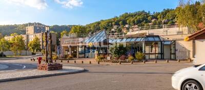 MALSH Realty & Property - Local commercial - Côtière (Ain/A42/Beynost/Dagneux/Montluel) - Miribel - 1