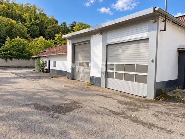 MALSH Realty & Property - Local d'activités - Vienne - Vienne - 1