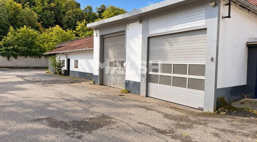 MALSH Realty & Property - Local d'activités - Vienne - Vienne - 1