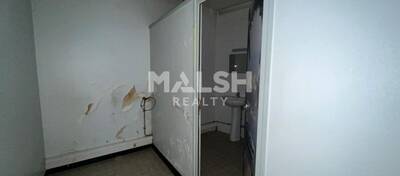 MALSH Realty & Property - Local commercial - Extérieurs NORD (Villefranche / Belleville) - Limas - 9